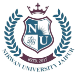 Nirwan University-Logo